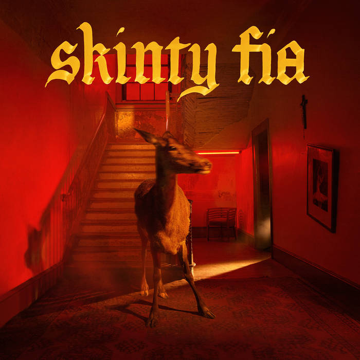 Fontaines D.C. / Skinty Fia / Plak