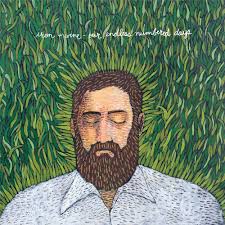 Iron & Wine / Our Endless Numbered Days / Plak