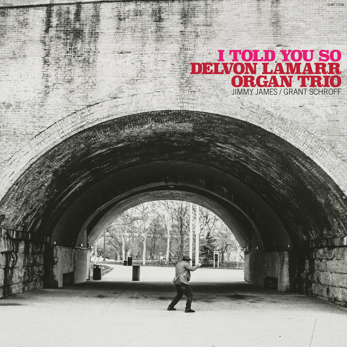 Delvon Lamarr -Organ Trio / I Told You So / Plak