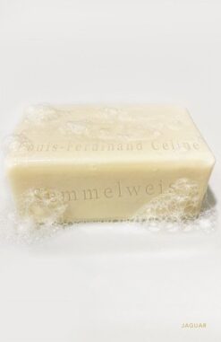 Louis Ferdinand Celine / Semmelweis