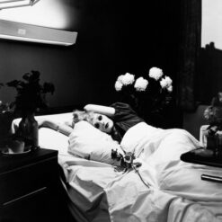 Antony And The Johnsons / I Am A Bird Now / Plak