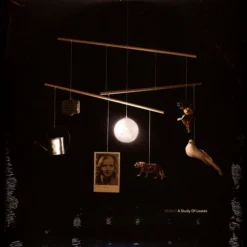 Beirut / A Study Of Losses / (Transparent Blue Vinyl Edition) Plak