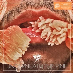 Toro Y Moi / Underneath The Pine / Plak
