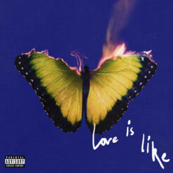 Maroon 5 / Love Is Like / Plak