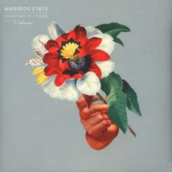 Maribou State / Kingdoms In Colour / Plak