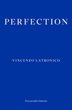 Vincenzo Latronico / Perfection