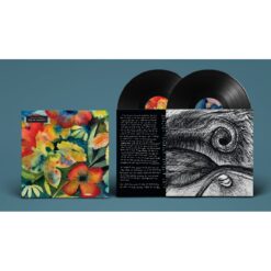 Adrianne Lenker / Songs And Instrumentals / Plak