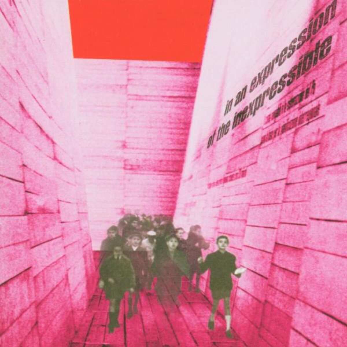 Blonde Redhead / In An Expression Of The Inexpressible / Plak