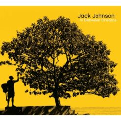 Jack Johnson / In Between Dreams / Plak