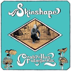 Skinshape / Craterellus Tubaeformis / Plak
