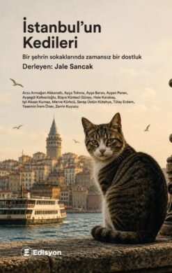 İstanbul'un Kedileri