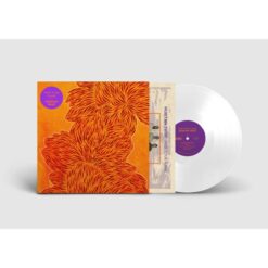 Nubiyan Twist / Find Your Flame / Plak