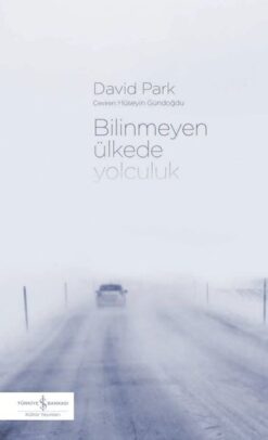 David Park / Bilinmeyen Ülkede Yolculuk