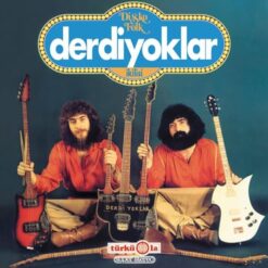 Derdiyoklar İkilisi / Disko Folk (Plak)