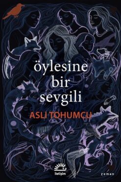 Aslı Tohumcu / Öylesine Bir Sevgili