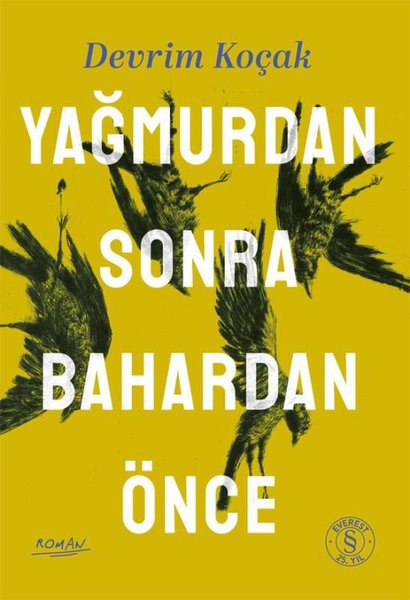 Devrim Koçak / Yağmurdan Sonra Bahardan Önce