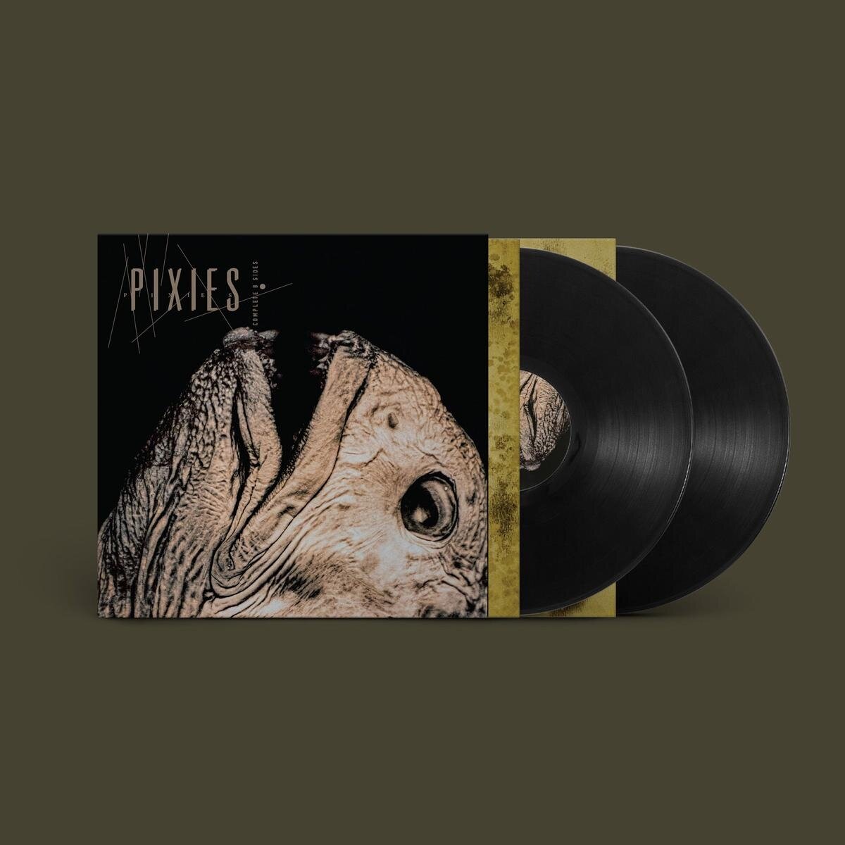 Pixies / Complete B-Sides: 1988-97 / Plak / Ön Sipariş