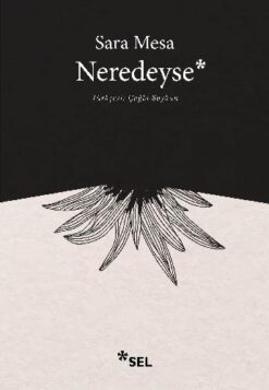 Neredeyse / Sara Mesa